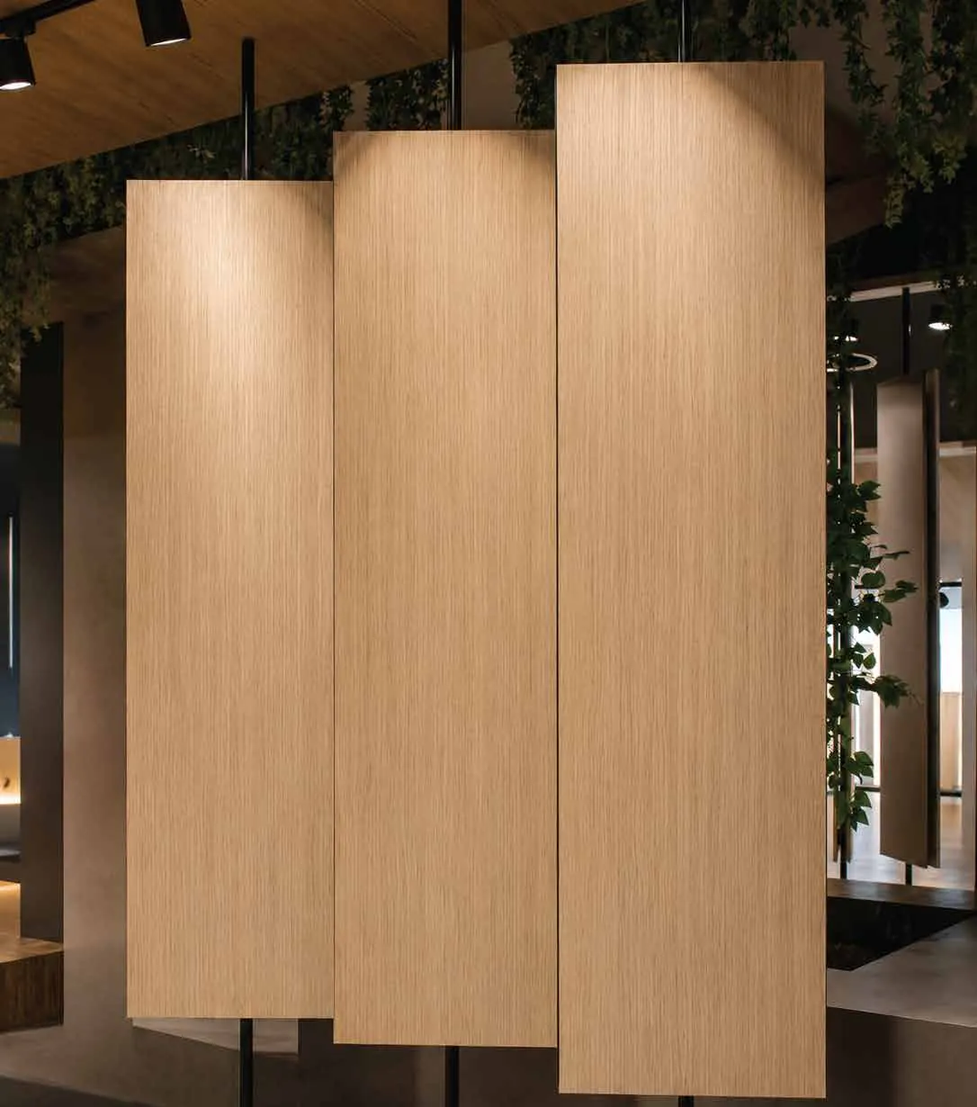 Ofis — Freze Avrupa Meşe