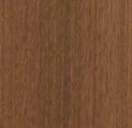 Afromosıa