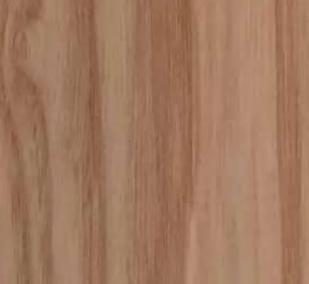 Dışbudak Renkli