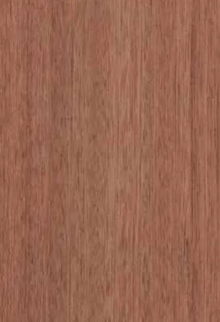 Sapelli