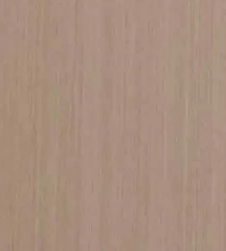 Kum Meşe